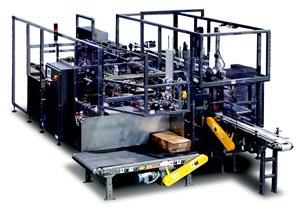 Case Packing Equipment